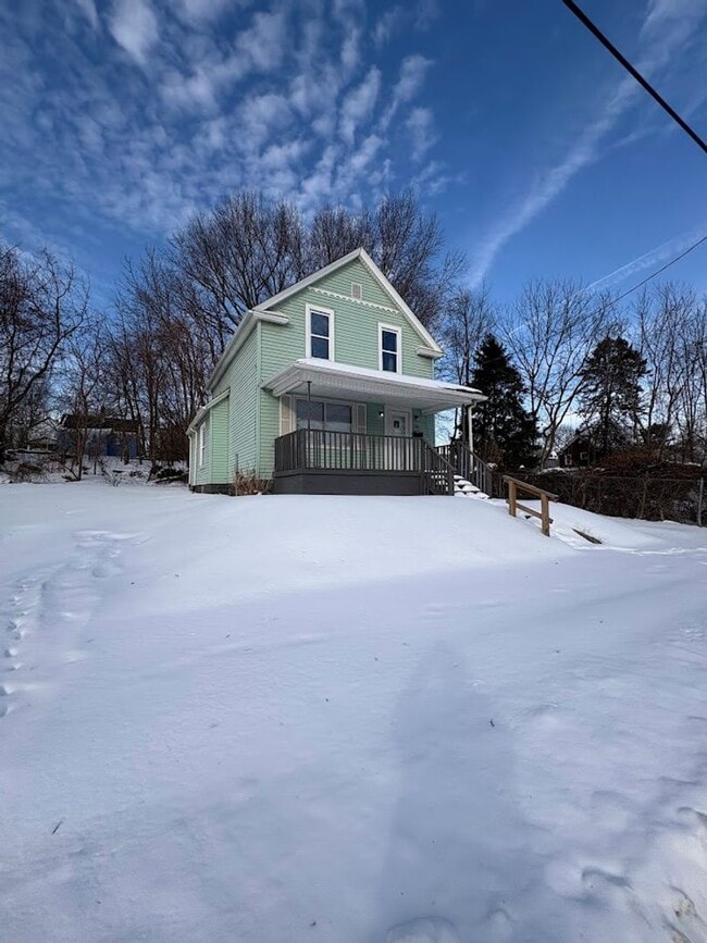 166 Chittenden St in Akron, OH - Building Photo - Building Photo