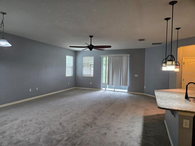 10705 Massimo Dr in Wimauma, FL - Building Photo - Building Photo