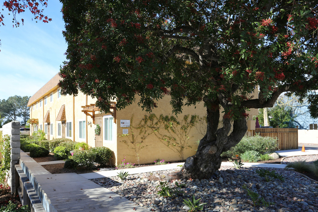 Breakwater Townhomes in Carlsbad, CA - Building Photo