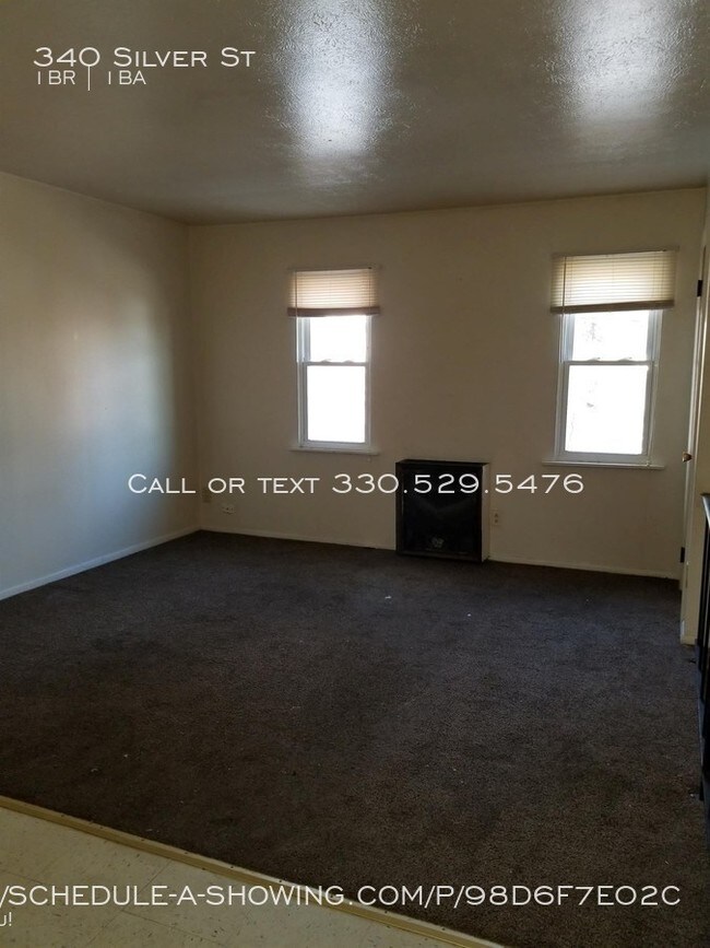 340 Silver St in Akron, OH - Foto de edificio - Building Photo