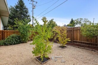 14 Stadium Way in Kentfield, CA - Building Photo - Building Photo