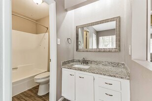 26 W Broken Oak Ct in Spring, TX - Building Photo