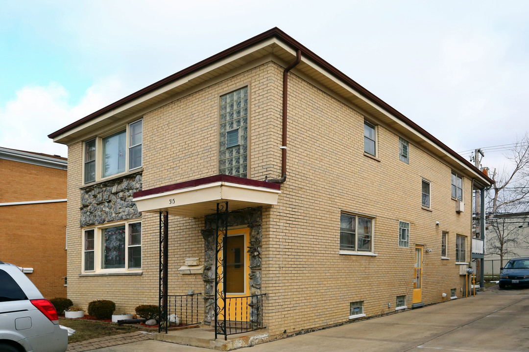 313 S Hale St in Addison, IL - Foto de edificio