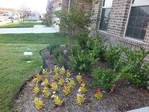 620 Calliopsis St in Little Elm, TX - Building Photo - Building Photo