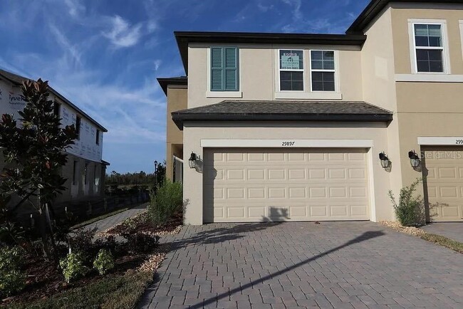 29897 Southwell Ln in Wesley Chapel, FL - Building Photo - Building Photo