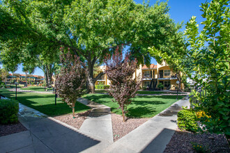 Huntington Park Apartments in Tucson, AZ - Foto de edificio - Building Photo