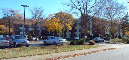 Tucker House in Norfolk, VA - Building Photo - Building Photo