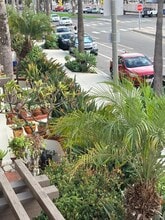 4201 E Ocean Blvd in Long Beach, CA - Foto de edificio - Building Photo