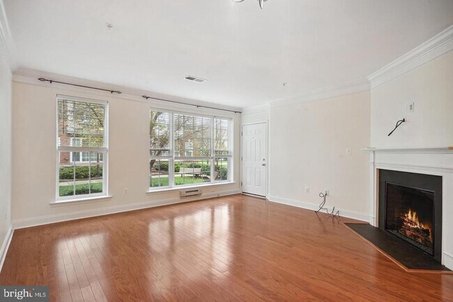 22936 Spicebush Dr in Clarksburg, MD - Building Photo - Building Photo