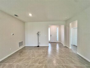 33869 Field Maple Lp in Wesley Chapel, FL - Building Photo - Building Photo