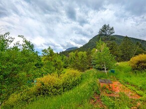 97 Hillside Rd in Palmer Lake, CO - Building Photo - Building Photo