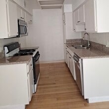 315 S Harvard Blvd, Unit 109 in Los Angeles, CA - Building Photo - Building Photo