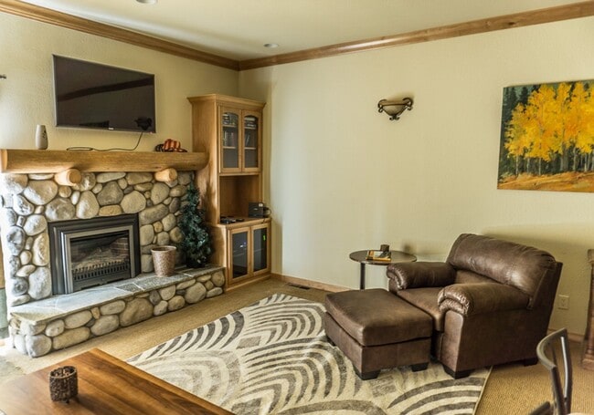 807 Alder Ave in Incline Village, NV - Building Photo - Building Photo