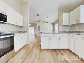 24839 Gun Smoke Dr in Land O Lakes, FL - Foto de edificio - Building Photo