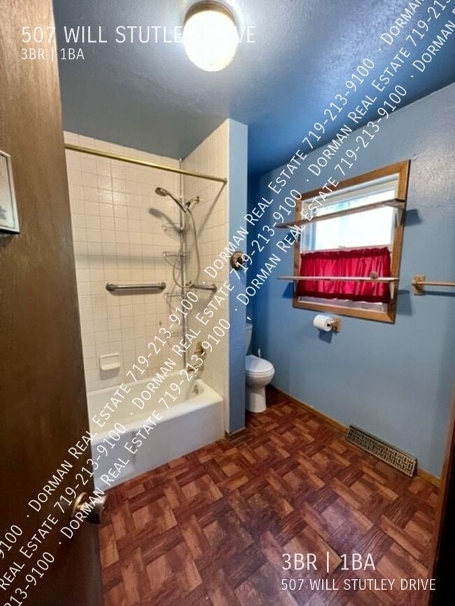 507 Will Stutley Dr in Divide, CO - Building Photo - Building Photo