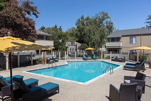 The Commons in Campbell, CA - Building Photo