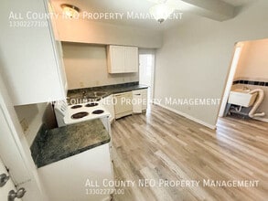 3119 W 16th St in Cleveland, OH - Foto de edificio - Building Photo