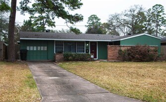 1430 Cheshire Ln in Houston, TX - Building Photo