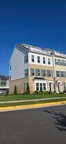 17137 Branched Oak Rd in Dumfries, VA - Building Photo