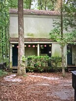 1307 Rumba Ln in Tallahassee, FL - Building Photo