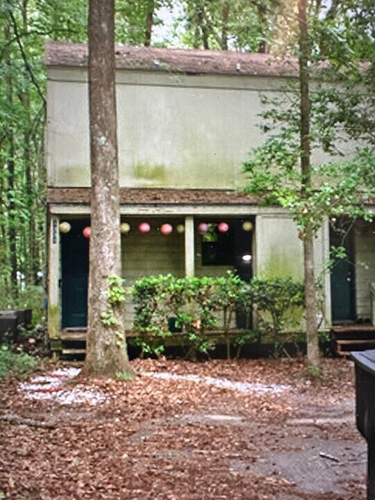 1336 Rumba Ln in Tallahassee, FL - Building Photo