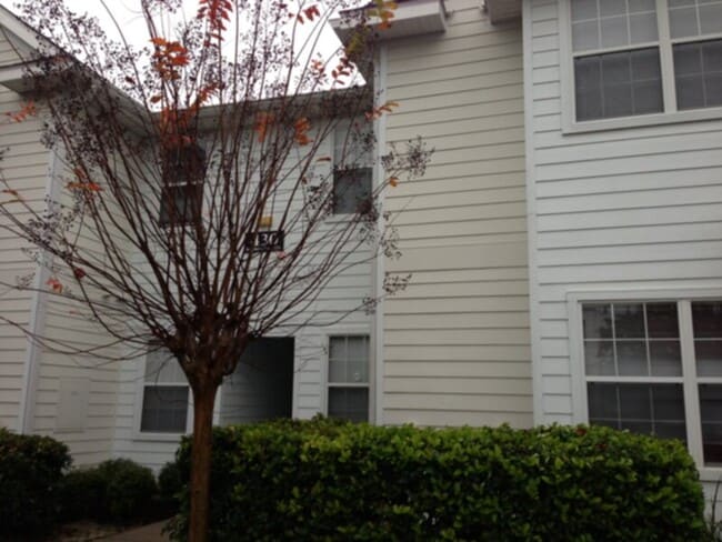 property at 417 Southern Pecan Cir