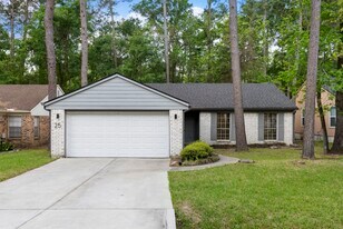 25 Dellforest Ct in Spring, TX - Building Photo
