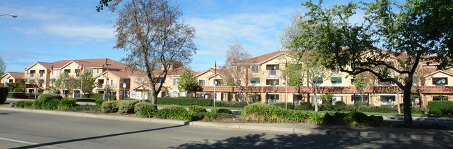 Vintage Court Apartments in Union City, CA - Building Photo - Building Photo