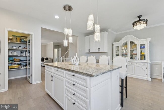24819 Mason Dale Terrace in Chantilly, VA - Building Photo - Building Photo