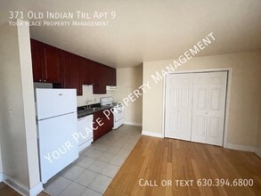 371 Old Indian Trail-Unit -9 in Aurora, IL - Building Photo - Building Photo