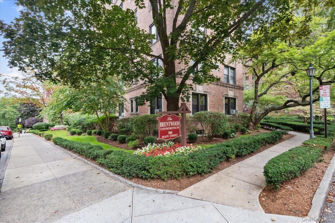 300 Main St in White Plains, NY - Building Photo