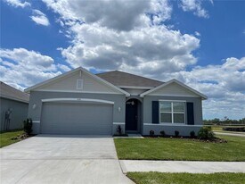 5535 Hollingworth Trl in Wesley Chapel, FL - Building Photo