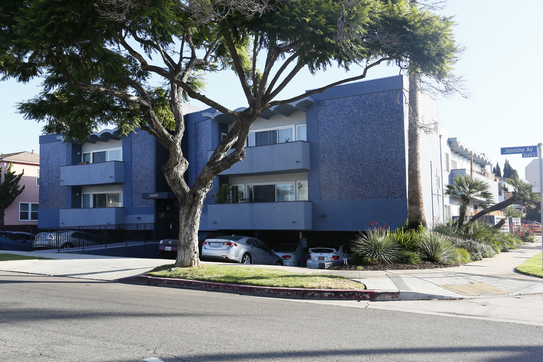 3690 Jasmine Ave in Los Angeles, CA - Foto de edificio