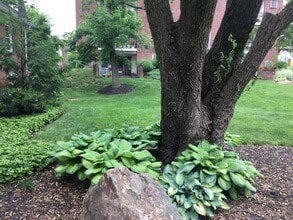 349 Homeland Southway, Unit 1B in Baltimore, MD - Building Photo - Building Photo