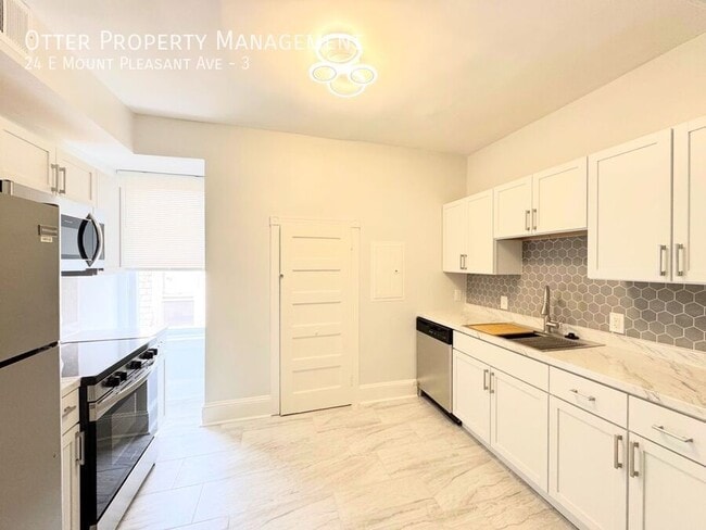 24 E Mt Pleasant Ave in Philadelphia, PA - Foto de edificio - Building Photo