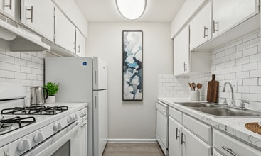 The Courtmoor on Cameron in Austin, TX - Building Photo - Building Photo