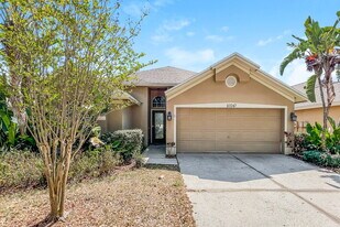 10247 Oasis Palm Dr in Tampa, FL - Building Photo