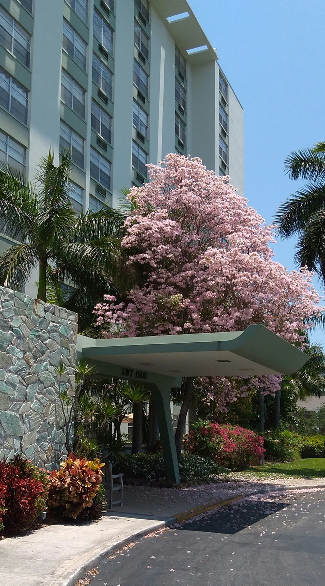 Lake Worth Towers in Lake Worth, FL - Foto de edificio - Building Photo