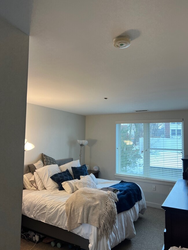 99 Chestnut Hill Ave, Unit 208 in Boston, MA - Foto de edificio - Building Photo