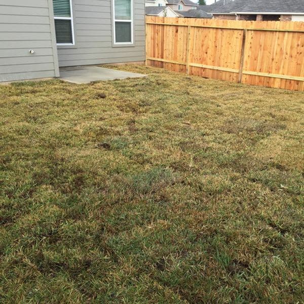 10018 Piave Drive in Houston, TX - Building Photo - Building Photo