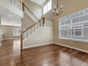 4214 Kestrel Pl in Castle Rock, CO - Building Photo - Building Photo