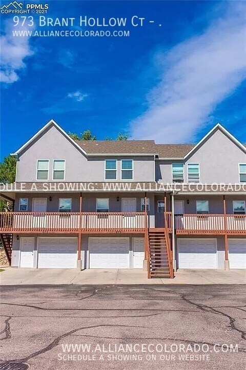 973 Brant Hollow Ct in Colorado Springs, CO - Building Photo
