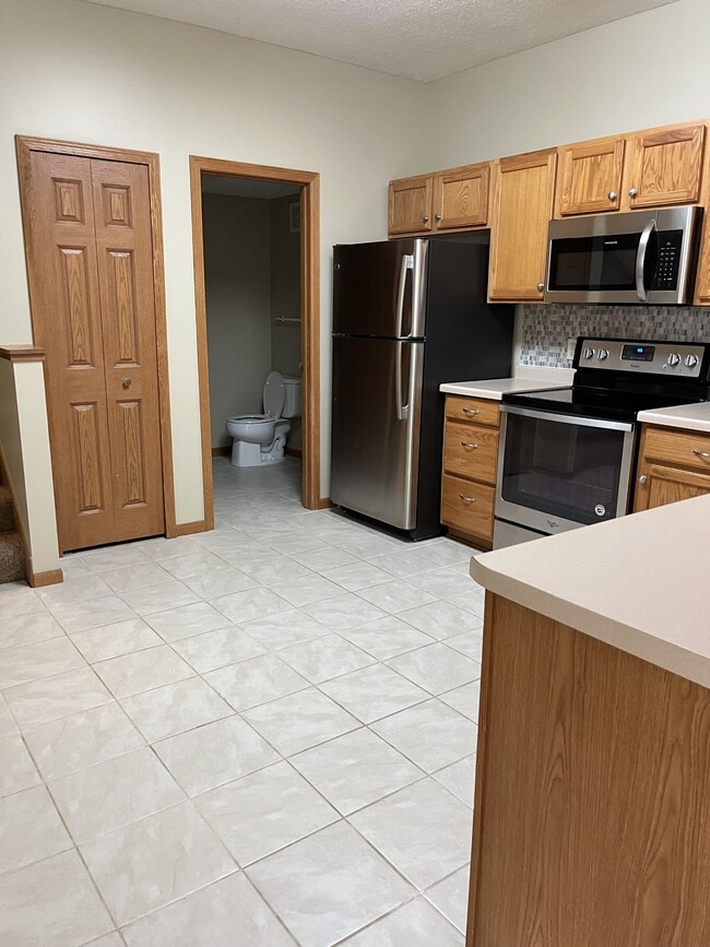 13040 Europa Trail Way N in Hugo, MN - Building Photo - Building Photo