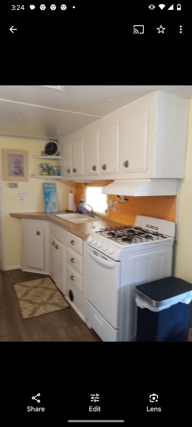 9349 Bob Cat Dr in Spring Hill, FL - Building Photo - Building Photo