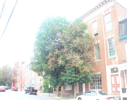 1013-1019 W Linden St in Allentown, PA - Foto de edificio