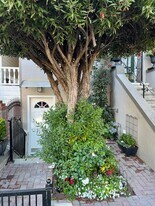 324 Elsie St, Unit A in San Francisco, CA - Building Photo