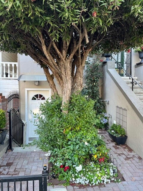 324 Elsie St, Unit A in San Francisco, CA - Building Photo