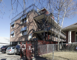 Adamson Apartments in Denver, CO - Building Photo