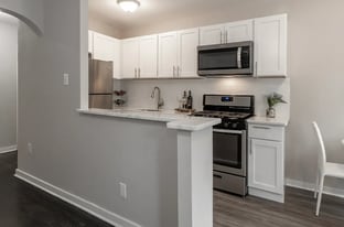 7250 Walnut St in Upper Darby Township, PA - Building Photo