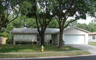 3812 Pinedale St in Brandon, FL - Building Photo